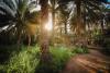 Royal Commission for AlUla Launches Khayrat AlUla Season