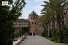 Taif's Stone Architecture Preserves Local Identity and Boosts Tourism Appeal