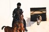 Equestrian Sport Gains Momentum Among Girls in Tabuk Region