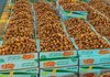 250 Tons of Dates Daily Drive Trade at Al-Bukayriyah Market