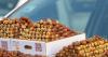 Sagai Dates: Distinctive Variety of Qassim's Farms