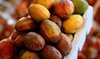 Al-Qatif Almonds: Diverse Colors, Varieties During Harvest Season