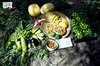 Al-Ahsa Oasis Brings Summer Produce Baskets to Markets