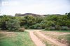 Wadi Haras Emerges as Verdant Natural Retreat in Najran's Highlands