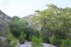Jazan's National Parks Drive Ecotourism and Sustainable Investment