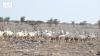 Oman's Nature Reserves Anchor Sustainable Development and Biodiversity Goals