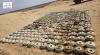 KSrelief’s Masam Project Removes 819 Landmines Across Yemen in One Week