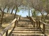 Field Efforts to Develop Hiking Trails and Enhance Hiker Safety in Saudi Arabia