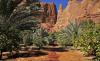 AlUla Wins Gold at Responsible Tourism Awards 2026