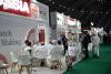 SaudiFood Exhibitions Draw Arabian Gulf Cup Visitors in Jeddah