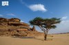 Hima Cultural Area Showcases Najran’s Natural and Archaeological Heritage