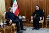 FM Araghchi urges expanded cooperation with Georgia in areas of mutual interest