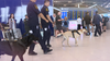 K9 unit 