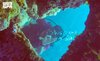 Coral Reefs in Jeddah: Responsible Practices Protect Marine Life