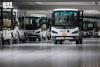 Nusuk App Enables Users to Book Electric Carts for Tawaf and Sa'i at Grand Mosque